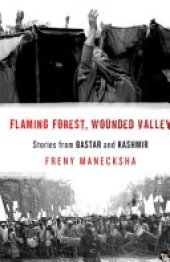 book Flaming Forest, Wounded Valley: Stories from Bastar and Kashmir