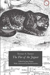 book The Fire of the Jaguar