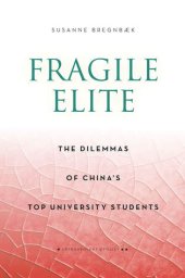 book Fragile Elite: The Dilemmas of China's Top University Students