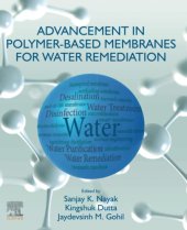 book Advancement in Polymer-Based Membranes for Water Remediation