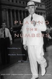 book Playing the Numbers: Gambling in Harlem between the Wars