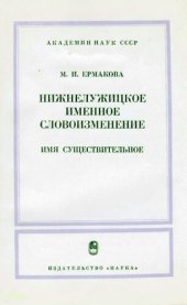 book Нижнелужицкое именное словоизменение. Имя существительное