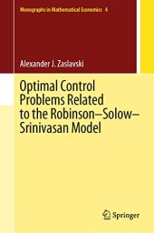 book Optimal Control Problems Related to the Robinson–Solow–Srinivasan Model