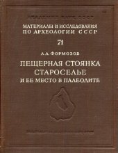 book Пещерная стоянка Староселье и ее место в палеолите