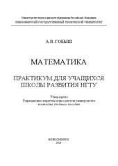 book Математика. Практикум для учащихся Школы развития НГТУ: Учебное пособие