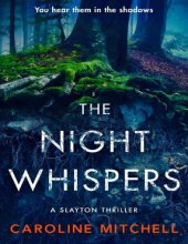 book You hear them in the shadows - the night whispers - A shaytan thriller