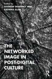 book The Networked Image in Post-Digital Culture