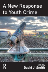 book A New Response to Youth Crime