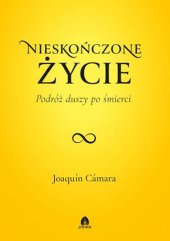 book Nieskończone życie. Podróż duszy po śmierci