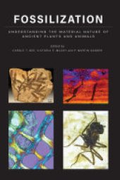 book Fossilization: Understanding the Material Nature of Ancient Plants and Animals