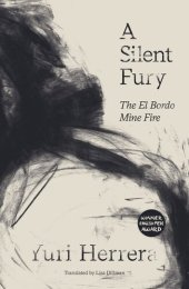 book A Silent Fury: The El Bordo Mine Fire