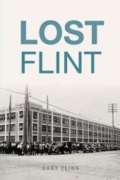 book Lost Flint