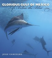 book Glorious Gulf of Mexico: Life Below the Blue (Volume 28) (Gulf Coast Books, sponsored by Texas A&M University-Corpus Christi)