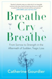 book Breathe Cry Breathe: From Sorrow to Strength in the Aftermath of Sudden, Tragic Loss