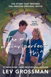 book The Map of Tiny Perfect Things