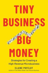 book Tiny Business, Big Money: Strategies for Creating a High-Revenue Microbusiness