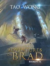 book Adventures on Brad Books 4--6