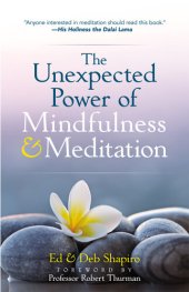 book The Unexpected Power of Mindfulness and Meditation