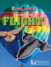 book Secrets of Flight