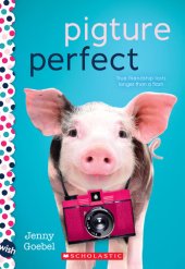 book Pigture Perfect