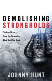 book Demolishing Strongholds: Finding Victory Over the Struggles That Hold You Back