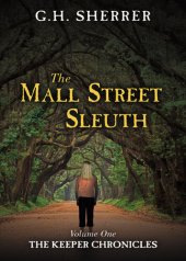 book The Mall Street Sleuth