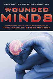 book Wounded Minds: Understanding and Solving the Growing Menace of Post-Traumatic Stress Disorder