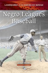 book Negro Leagues Baseball