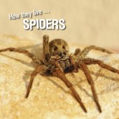 book How they live... Spiders: Learn All There Is to Know About These Animals!