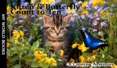 book Kitten and Butterfly Count to Ten