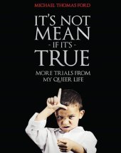 book It's Not Mean If It's True: More Trials from My Queer Life