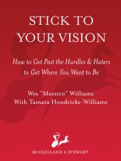 book Stick to Your Vision: How to Get Past the Hurdles and Haters to Get Where You Want to Be