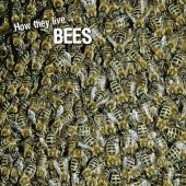 book How they live... Bees: Learn All There Is to Know About These Animals!