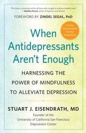 book When Antidepressants Aren't Enough: Harnessing the Power of Mindfulness to Alleviate Depression