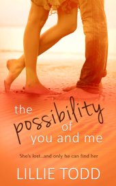 book The Possibility of You and Me