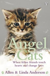 book Angel Cats: When feline friends touch hearts and change lives