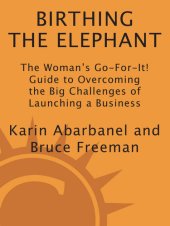 book Birthing the Elephant: The Woman's Go-For-It! Guide to Overcoming the Big Challenges of Launching a Bus iness