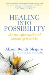 book Healing into Possibility: The Transformation Lessons of a Stroke