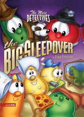 book The Big Sleepover