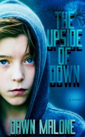 book The Upside of Down