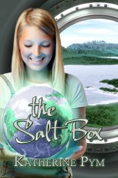 book The Salt Box