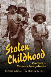 book Stolen Childhood: Slave Youth in Nineteenth-Century America