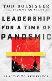 book Leadership for a Time of Pandemic: Practicing Resilience