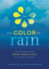 book The Color of Rain: How Two Families Found Faith, Hope, & Love in the Midst of Tragedy