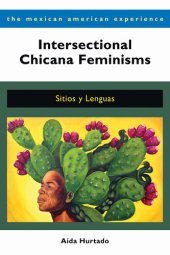 book Intersectional Chicana Feminisms: Sitios y Lenguas