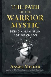 book The Path of the Warrior-Mystic: Being a Man in an Age of Chaos