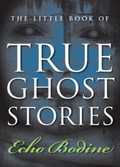 book The Little Book of True Ghost Stories