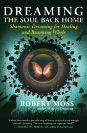 book Dreaming the Soul Back Home: Shamanic Dreaming for Healing and Becoming Whole