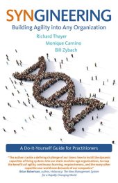 book Syngineering: Building Agility into Any Organization: A Do-It-Yourself Guide for Practitioners