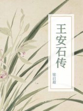 book 王安石传